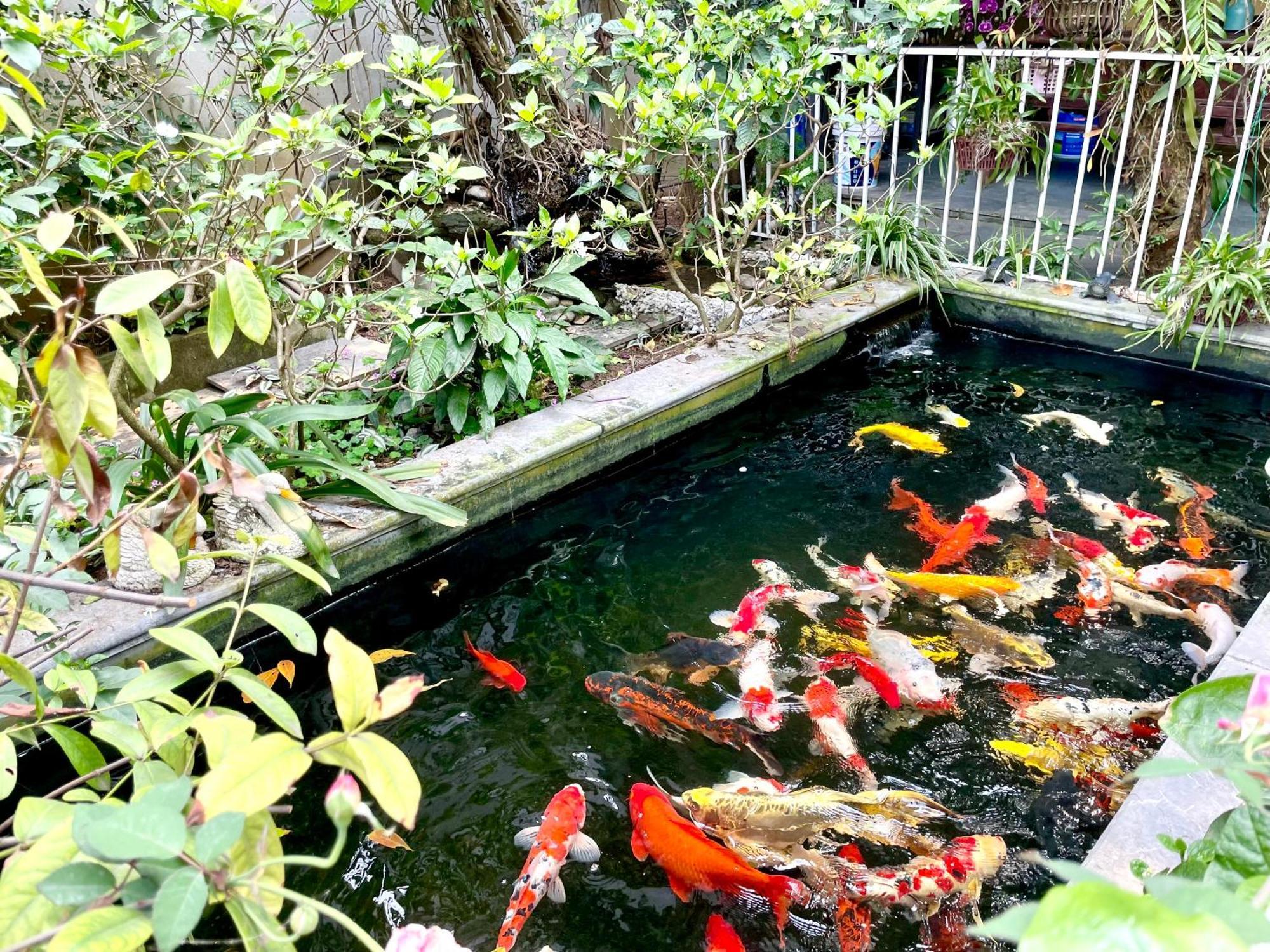 Lee Homestay Hanoi Esterno foto