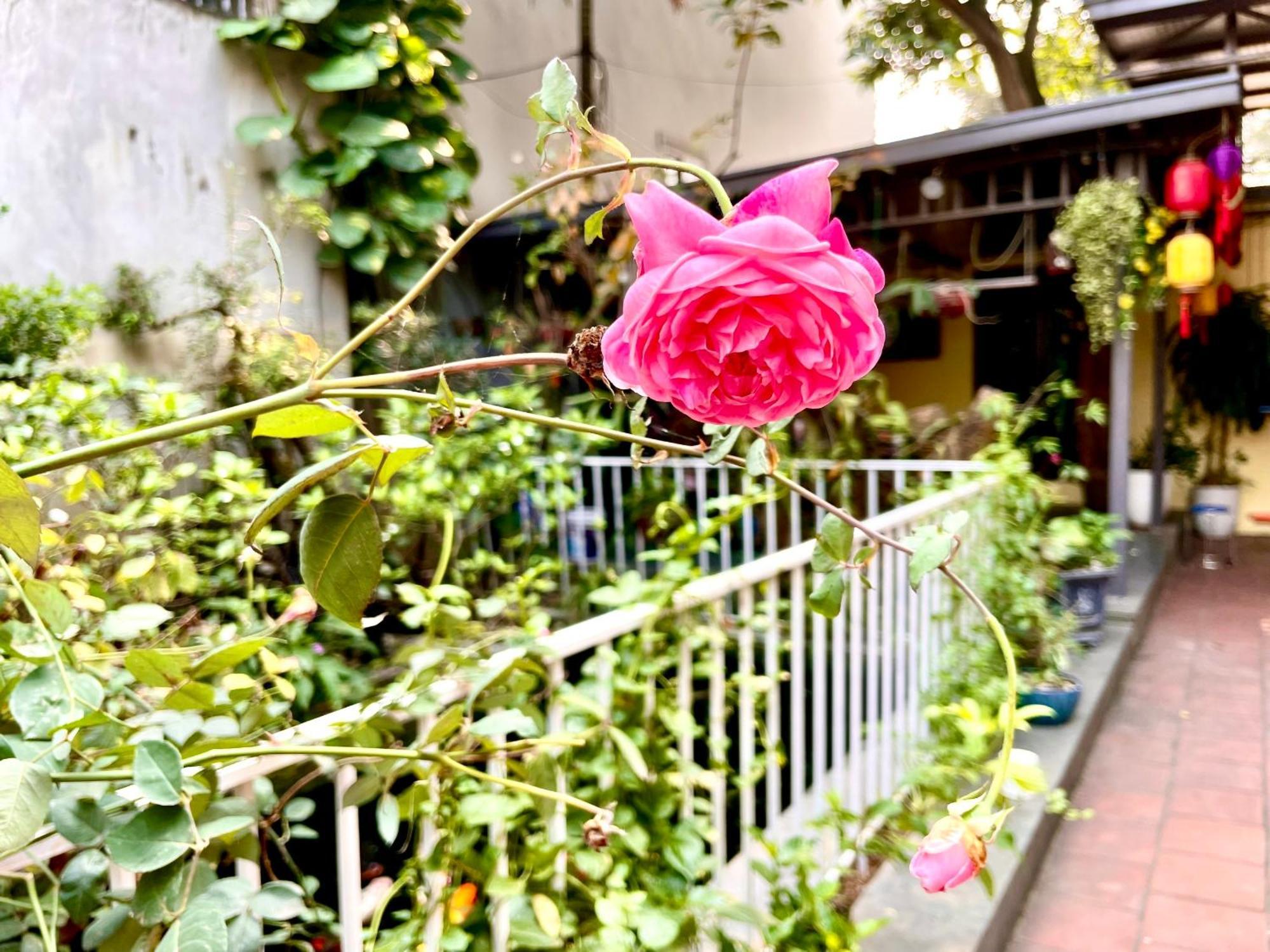 Lee Homestay Hanoi Esterno foto