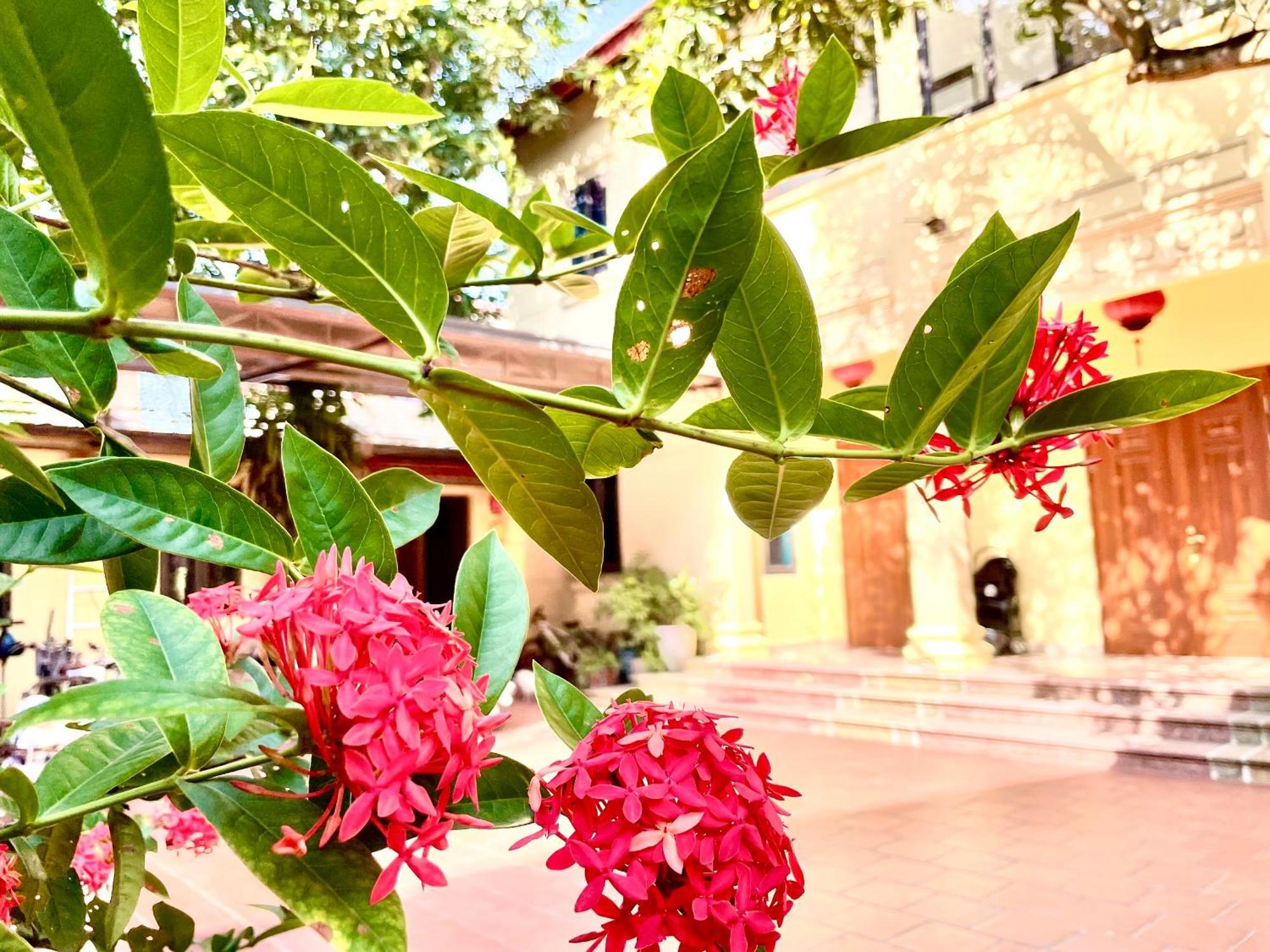 Lee Homestay Hanoi Esterno foto
