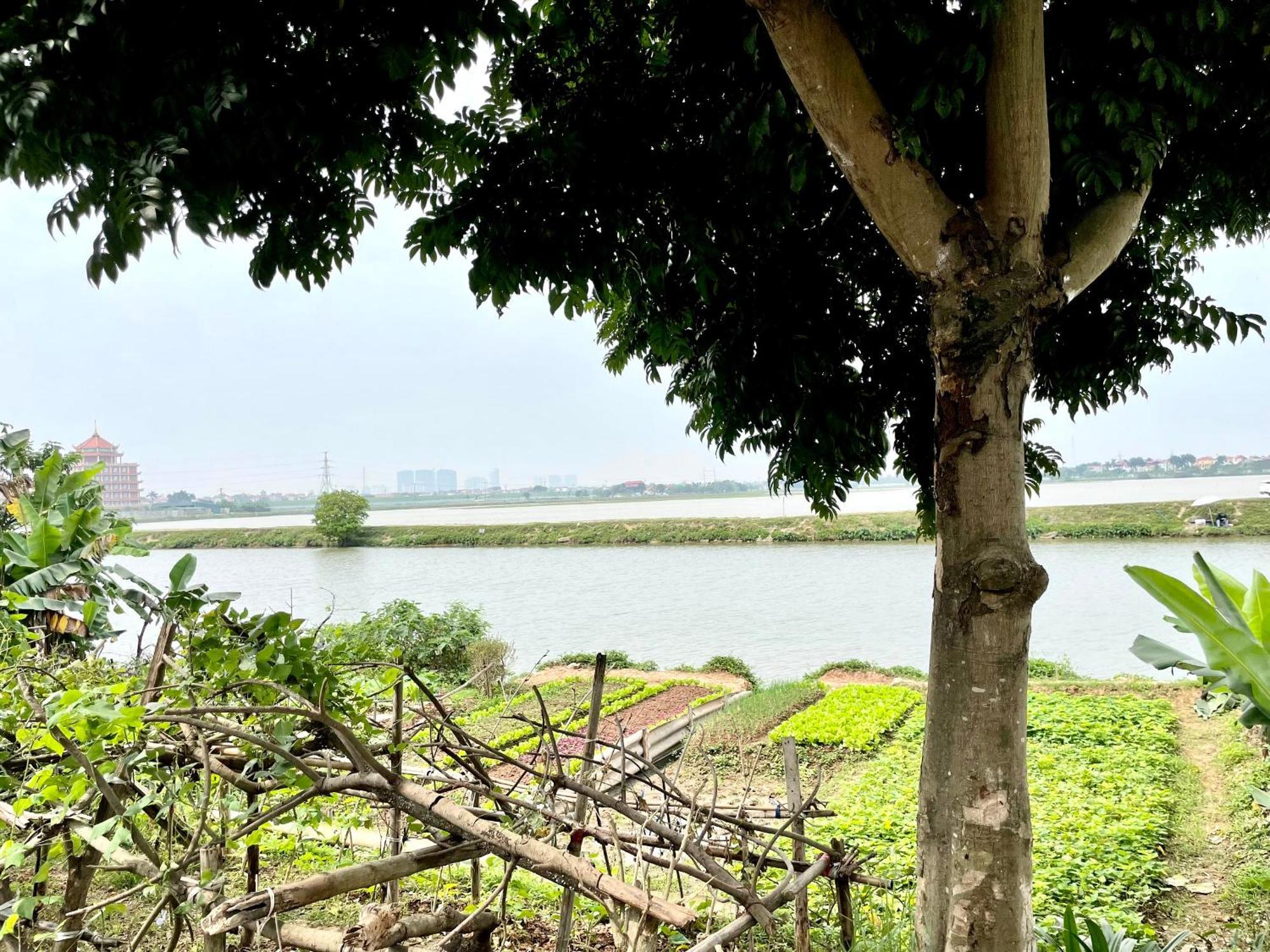 Lee Homestay Hanoi Esterno foto
